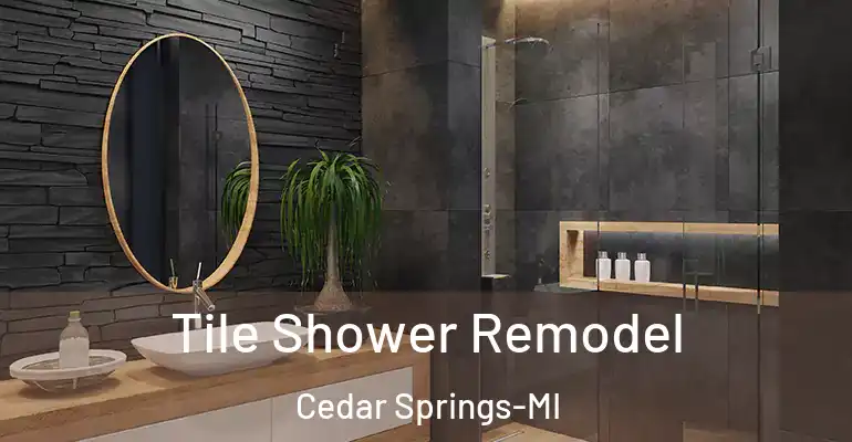 inner Bathroom imggen Tile Shower Remodel Cedar Springs-MI