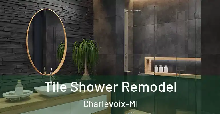 inner Bathroom imggen Tile Shower Remodel Charlevoix-MI