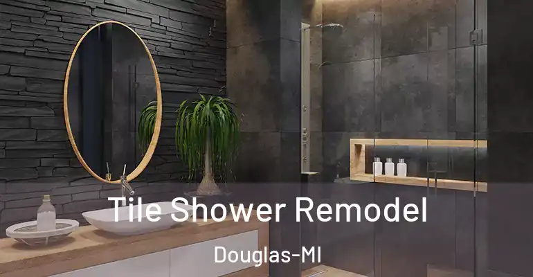 inner Bathroom imggen Tile Shower Remodel Douglas-MI