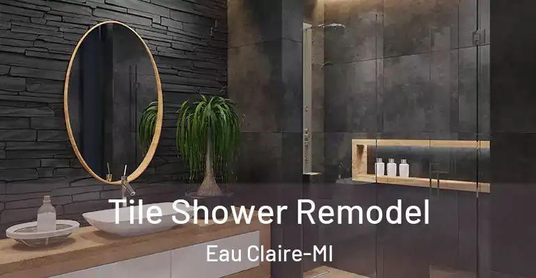 inner Bathroom imggen Tile Shower Remodel Eau Claire-MI