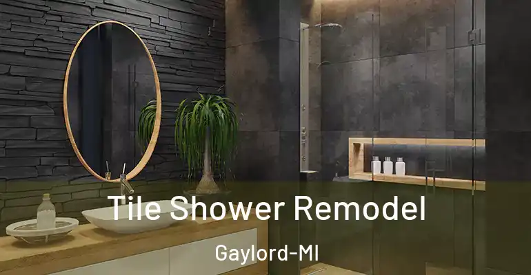 inner Bathroom imggen Tile Shower Remodel Gaylord-MI