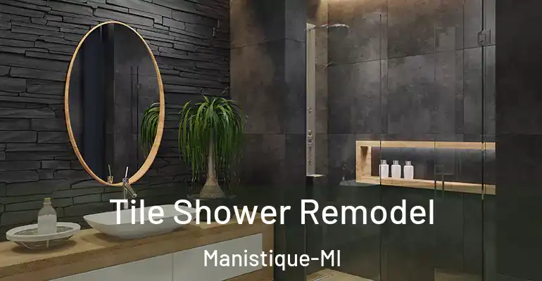 inner Bathroom imggen Tile Shower Remodel Manistique-MI