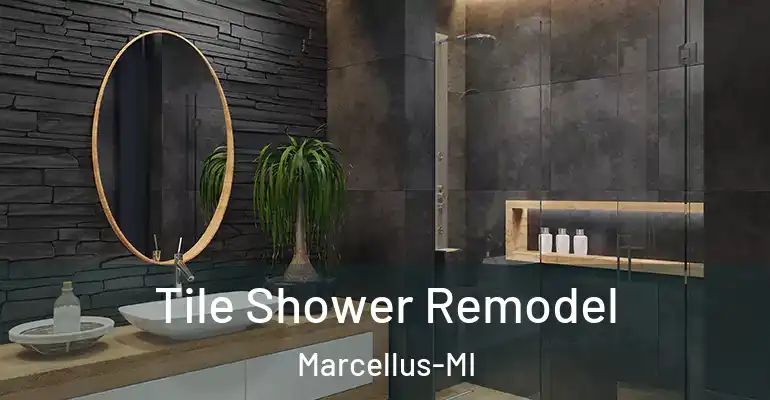inner Bathroom imggen Tile Shower Remodel Marcellus-MI