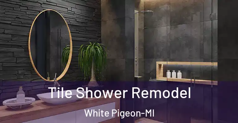 inner Bathroom imggen Tile Shower Remodel White Pigeon-MI