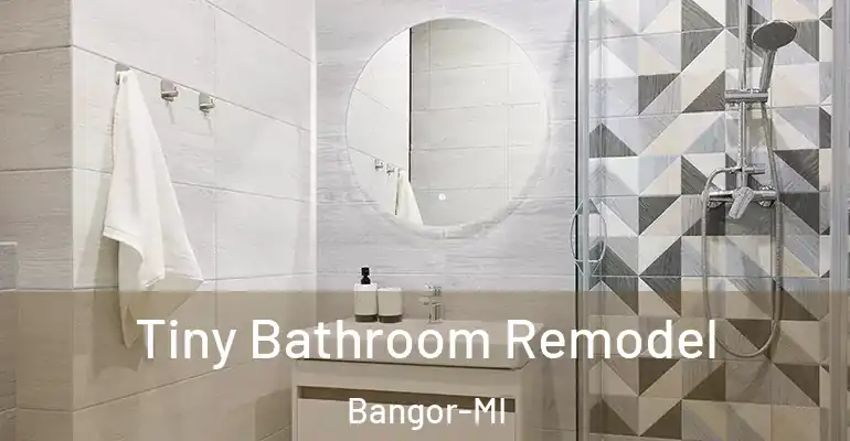 inner Bathroom imggen Tiny Bathroom Remodel Bangor-MI