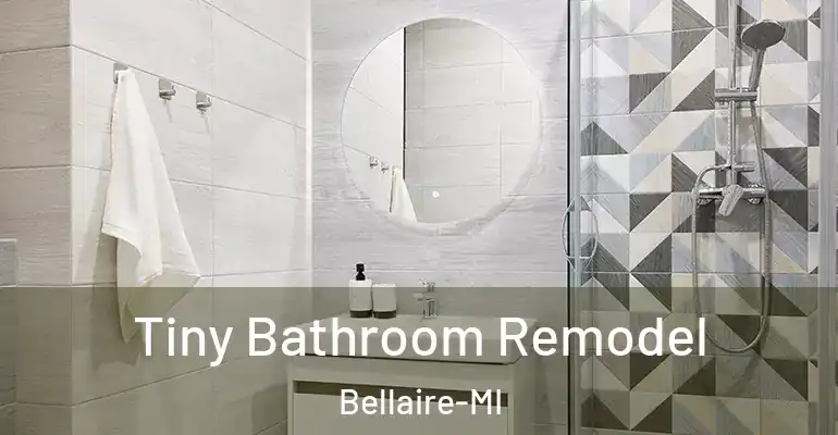 inner Bathroom imggen Tiny Bathroom Remodel Bellaire-MI