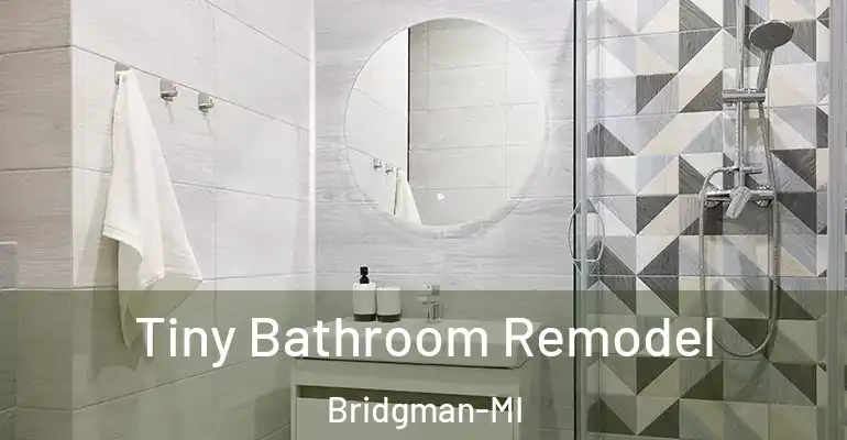 inner Bathroom imggen Tiny Bathroom Remodel Bridgman-MI