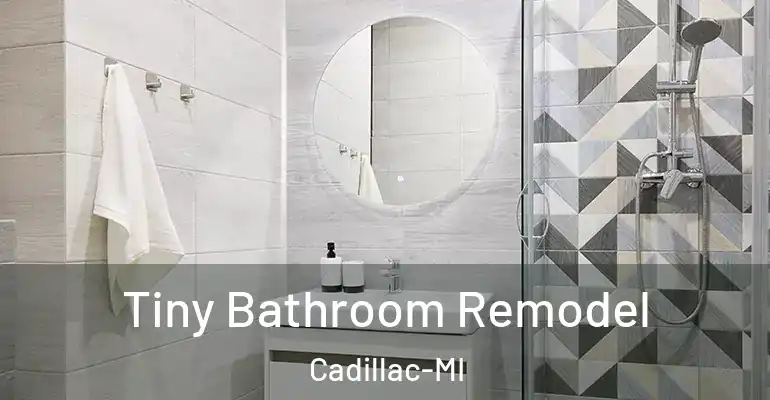 inner Bathroom imggen Tiny Bathroom Remodel Cadillac-MI
