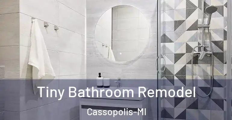 inner Bathroom imggen Tiny Bathroom Remodel Cassopolis-MI