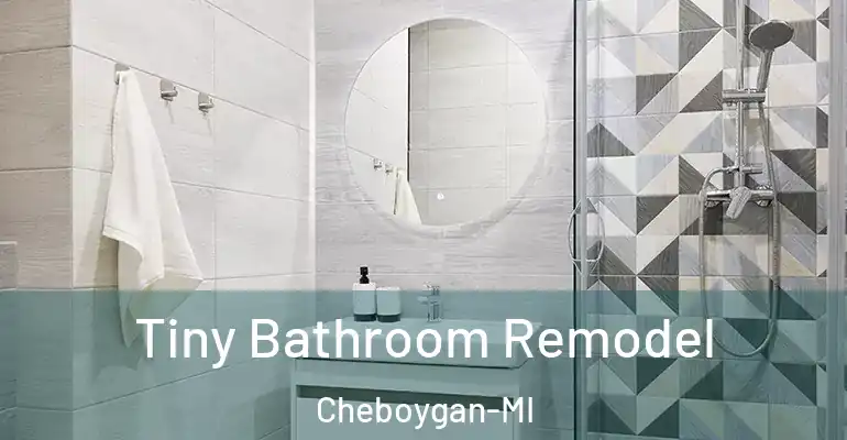 inner Bathroom imggen Tiny Bathroom Remodel Cheboygan-MI