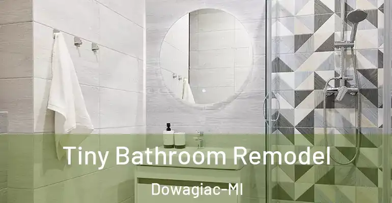 inner Bathroom imggen Tiny Bathroom Remodel Dowagiac-MI