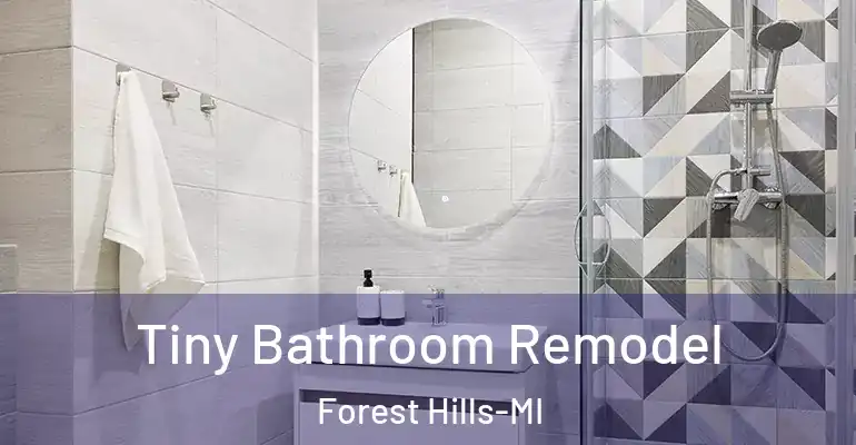 inner Bathroom imggen Tiny Bathroom Remodel Forest Hills-MI