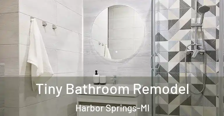 inner Bathroom imggen Tiny Bathroom Remodel Harbor Springs-MI