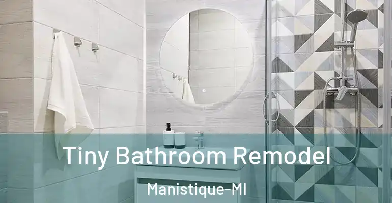 inner Bathroom imggen Tiny Bathroom Remodel Manistique-MI