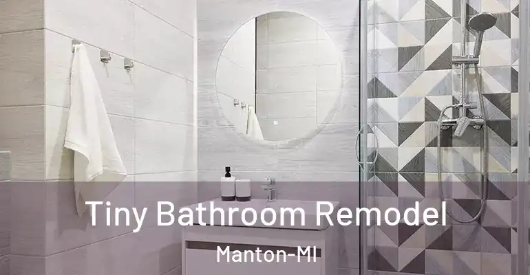 inner Bathroom imggen Tiny Bathroom Remodel Manton-MI
