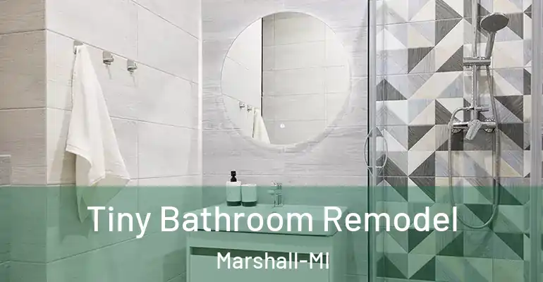 inner Bathroom imggen Tiny Bathroom Remodel Marshall-MI
