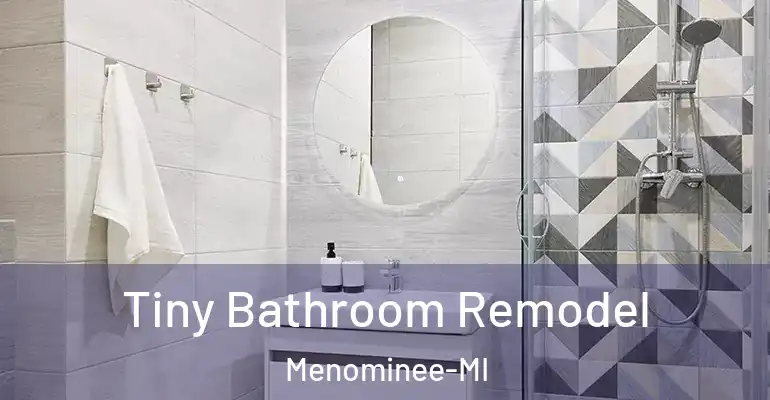 inner Bathroom imggen Tiny Bathroom Remodel Menominee-MI