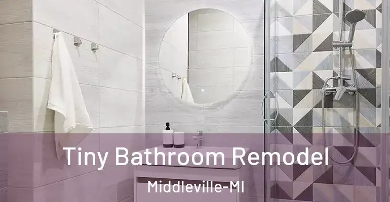 inner Bathroom imggen Tiny Bathroom Remodel Middleville-MI