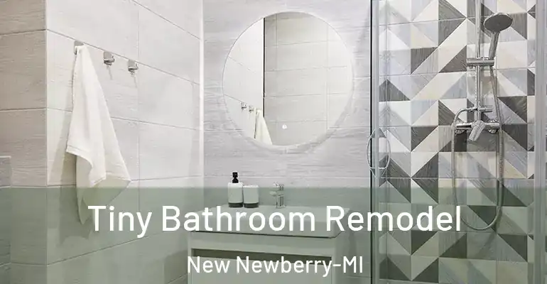 inner Bathroom imggen Tiny Bathroom Remodel New Newberry-MI