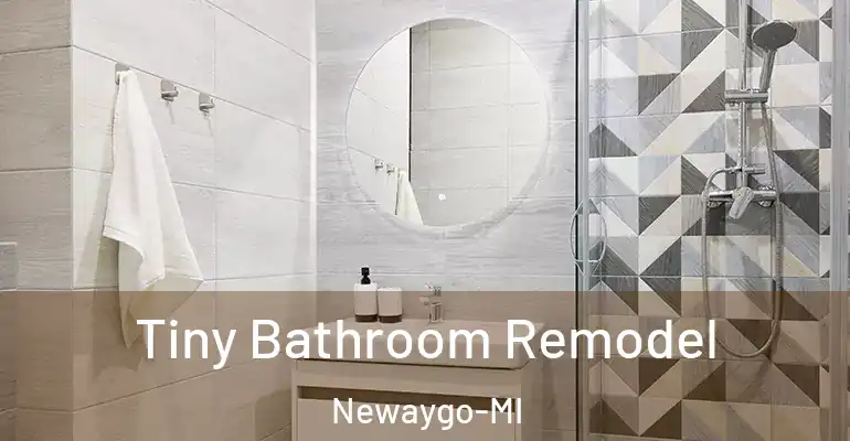 inner Bathroom imggen Tiny Bathroom Remodel Newaygo-MI