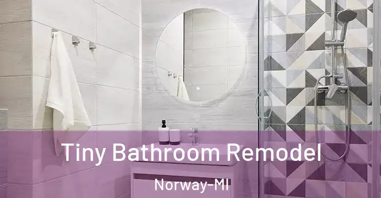 inner Bathroom imggen Tiny Bathroom Remodel Norway-MI