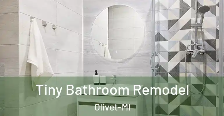 inner Bathroom imggen Tiny Bathroom Remodel Olivet-MI