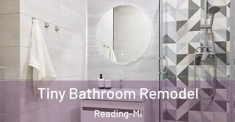 inner Bathroom imggen Tiny Bathroom Remodel Reading-MI