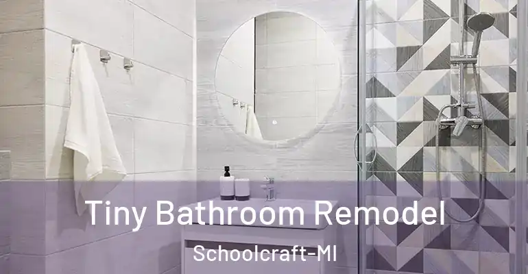 inner Bathroom imggen Tiny Bathroom Remodel Schoolcraft-MI