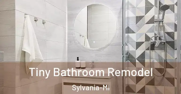 inner Bathroom imggen Tiny Bathroom Remodel Sylvania-MI
