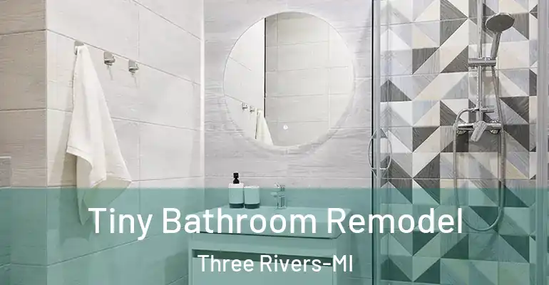 inner Bathroom imggen Tiny Bathroom Remodel Three Rivers-MI