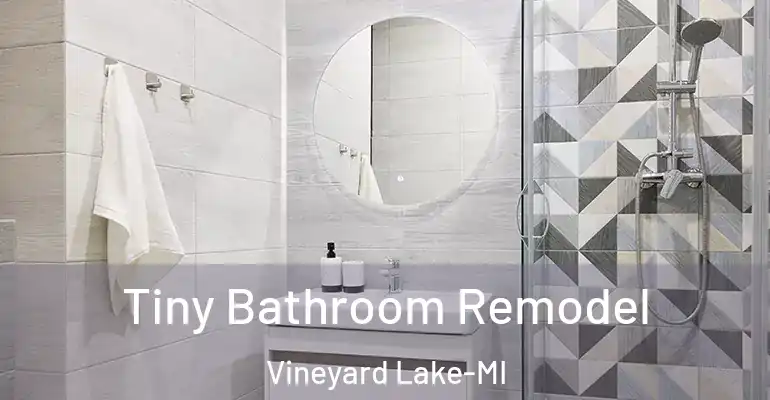 inner Bathroom imggen Tiny Bathroom Remodel Vineyard Lake-MI
