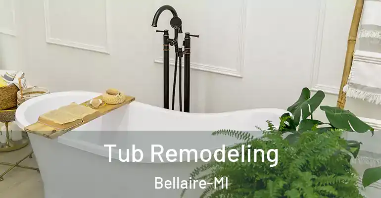 inner Bathroom imggen Tub Remodeling Bellaire-MI