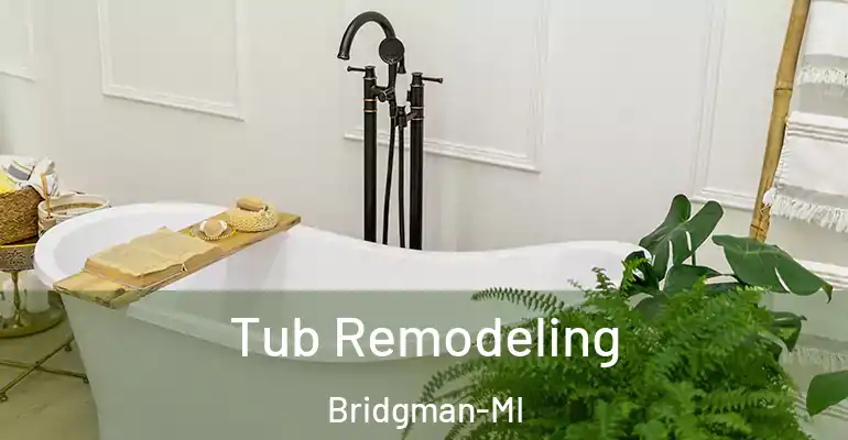 inner Bathroom imggen Tub Remodeling Bridgman-MI