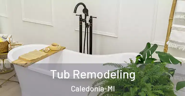 inner Bathroom imggen Tub Remodeling Caledonia-MI