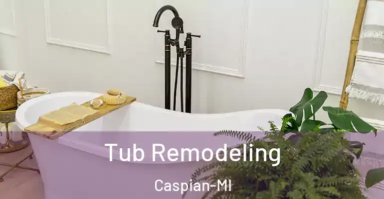 inner Bathroom imggen Tub Remodeling Caspian-MI