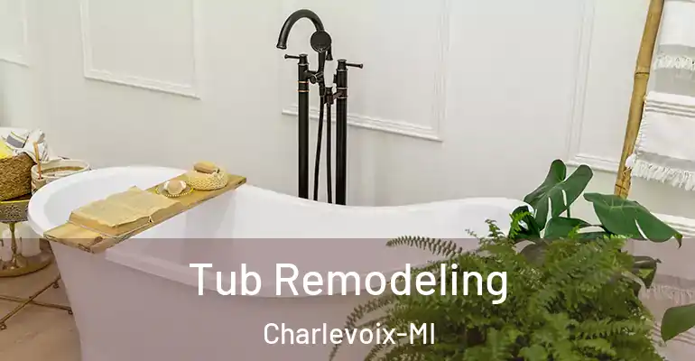 inner Bathroom imggen Tub Remodeling Charlevoix-MI