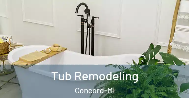 inner Bathroom imggen Tub Remodeling Concord-MI