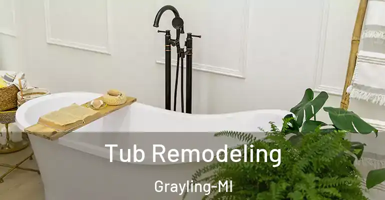 inner Bathroom imggen Tub Remodeling Grayling-MI