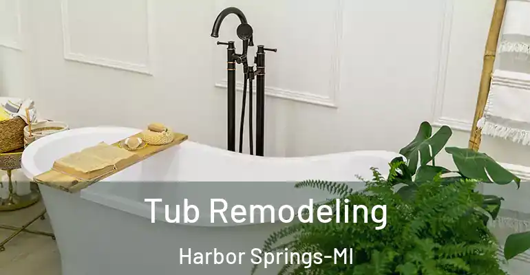 inner Bathroom imggen Tub Remodeling Harbor Springs-MI
