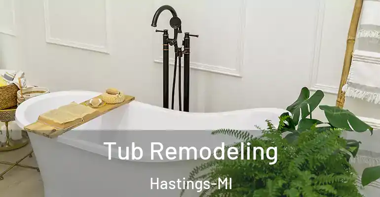 inner Bathroom imggen Tub Remodeling Hastings-MI