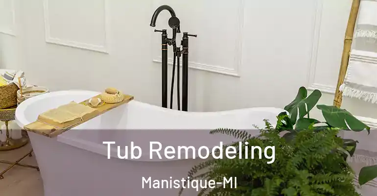 inner Bathroom imggen Tub Remodeling Manistique-MI