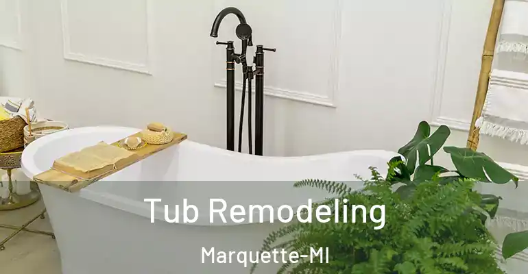inner Bathroom imggen Tub Remodeling Marquette-MI