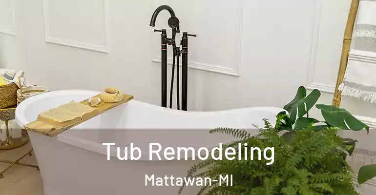 inner Bathroom imggen Tub Remodeling Mattawan-MI