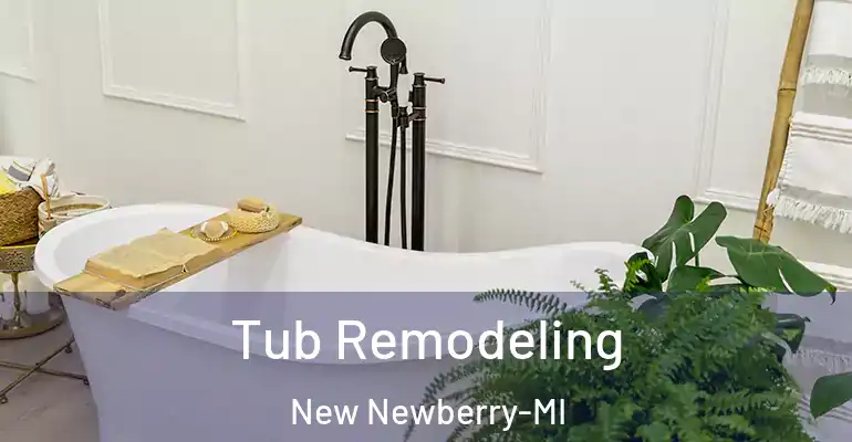 inner Bathroom imggen Tub Remodeling New Newberry-MI
