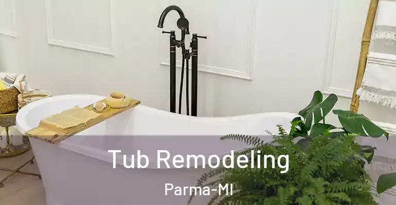 inner Bathroom imggen Tub Remodeling Parma-MI