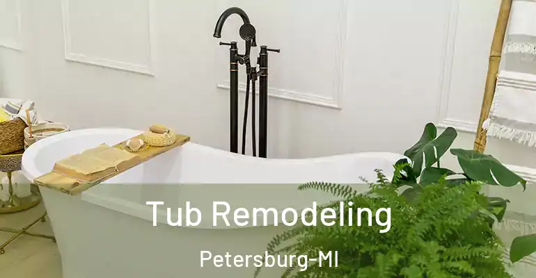 inner Bathroom imggen Tub Remodeling Petersburg-MI