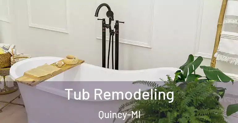 inner Bathroom imggen Tub Remodeling Quincy-MI