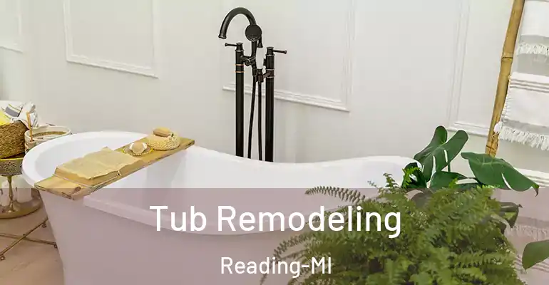 inner Bathroom imggen Tub Remodeling Reading-MI