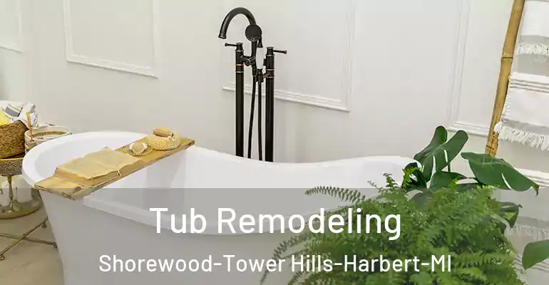 inner Bathroom imggen Tub Remodeling Shorewood-Tower Hills-Harbert-MI