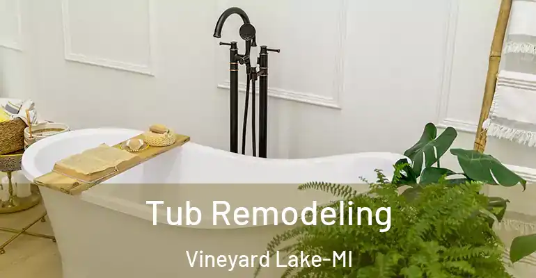 inner Bathroom imggen Tub Remodeling Vineyard Lake-MI